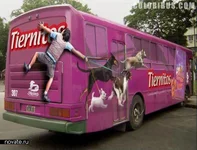 bus4.webp