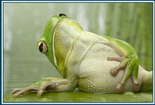 39945240_6779af02c7340d53df9040f06c79830d_full.jpg