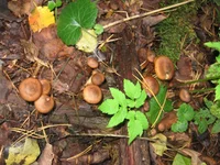 021010 221.webp