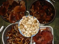 DSC08462.jpg