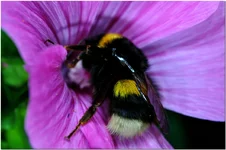 DSC_0166.webp