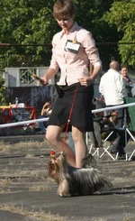 IMG_0239.webp