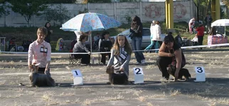 IMG_0241.webp