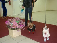 DSC03764.jpg