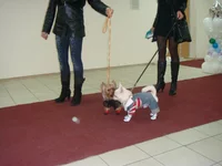DSC03765.webp