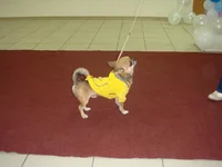 DSC03771.webp