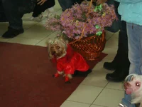 DSC03787.webp