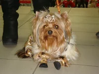 DSC03823.webp