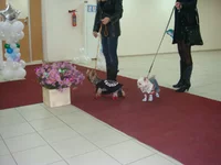 DSC03762.webp
