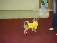 DSC03770.webp