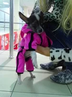 x_681178ac.webp