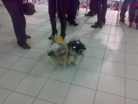 031020103237.webp