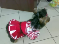 031020103239.jpg