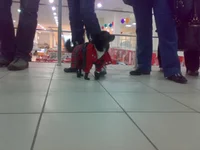 031020103259.webp