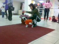 031020103264.jpg