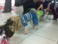 031020103281.webp