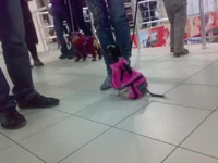 031020103296.webp
