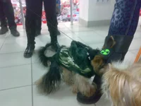 031020103302.webp