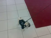 031020103315.jpg