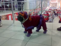 031020103320.webp