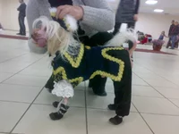 031020103325.webp
