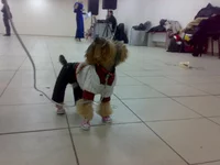031020103345.webp