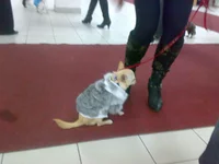 031020103355.webp
