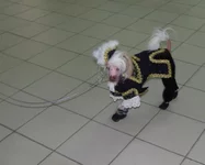 DSCF5488.webp