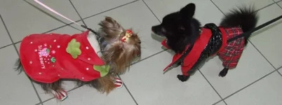 DSCF5448.webp
