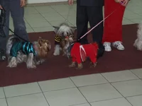DSCF5513.webp