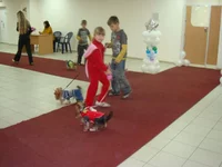 DSC03775.webp