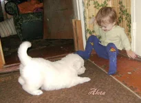 PICT0673 копия.webp