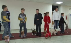 DSCF5518.JPG