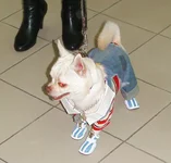 S73F8863.webp