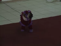 DSCF5459.webp
