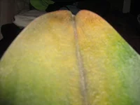 IMG_3000.webp