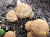 100_1426.webp