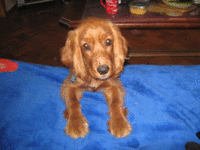 IMG_6075!!!!.gif