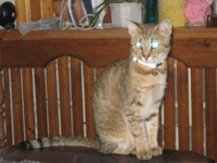 IMG_6014!!!!.gif