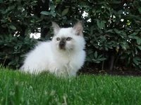 DSC07537.webp