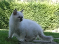 DSC07557.JPG