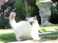 DSC07584.webp