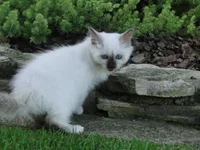 DSC07558.JPG