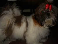 DSCN2051.webp