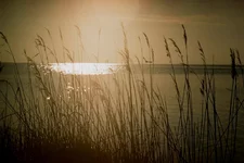 000000640003.webp 000000640003.webp