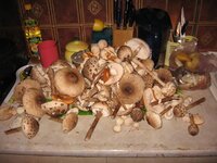IMG_3264.jpg
