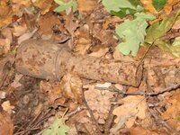 IMG_3230.jpg