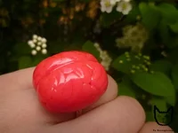 56114991.jpg