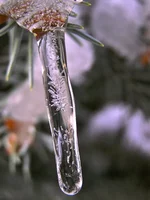 PB040875.jpg