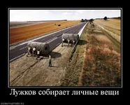 416625_luzhkov-sobiraet-lichnyie-veschi.webp